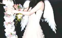 有车车的腐肉动画网站入口